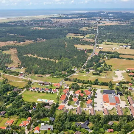 Lvi